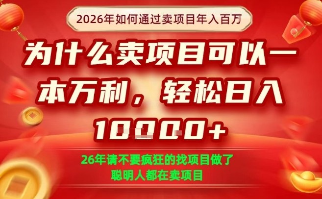 一单净利润1K+,26年想年入100个W,死磕卖项目就够了【揭秘】-靠谱项目库