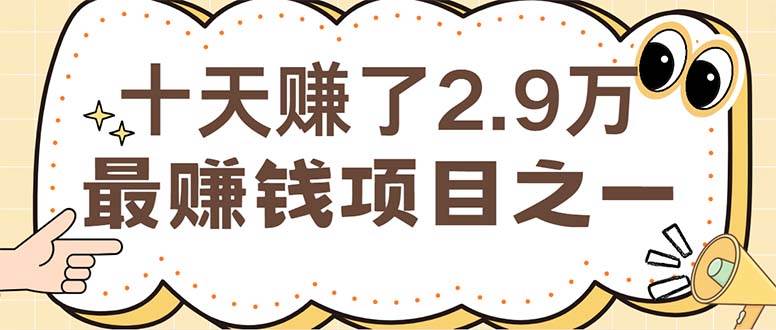 (12491期)闲鱼小红书赚钱项目之一,轻松月入6万+项目-靠谱项目库