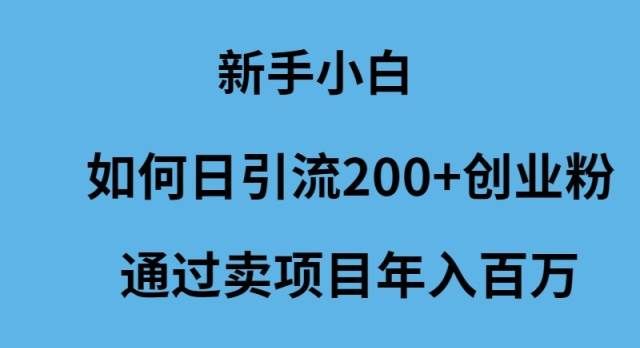 (9668期)新手小白如何日引流200+创业粉通过卖项目年入百万-靠谱项目库