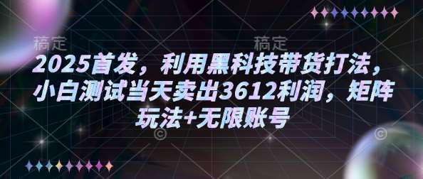 2025首发,利用黑科技带货打法,小白测试当天卖出3612利润,矩阵玩法+无限账号【揭秘】-靠谱项目库