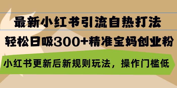 （13145期）最新小红书引流自热打法，轻松日吸300+精准宝妈创业粉，小红书更新后新…-靠谱项目库