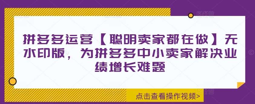 拼多多运营【聪明卖家都在做】无水印版，为拼多多中小卖家解决业绩增长难题-靠谱项目库