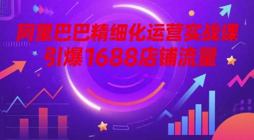 阿里巴巴精细化运营实战课，引爆1688店铺流量-靠谱项目库