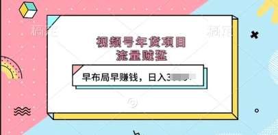 视频号年货项目，流量贼猛，早布局早挣钱，日入上k【揭秘】-靠谱项目库