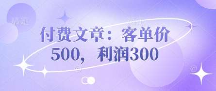 付费文章:客单价500,利润300-靠谱项目库