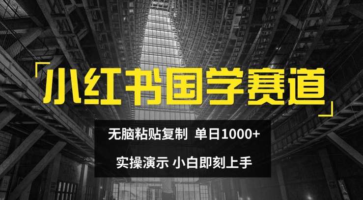 小红书国学赛道,无脑粘贴复制,单日1K,实操演示,小白即刻上手【揭秘】-靠谱项目库