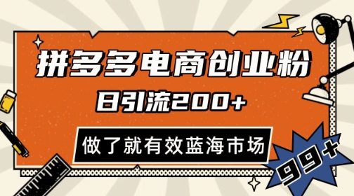 拼多多引流电商创业粉，日引200+，可矩阵放大，做了就有效【揭秘】-靠谱项目库