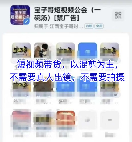 宝子哥头部团队短视频带货，以混剪为主，不需要真人出镜，不需要拍摄【更新】-靠谱项目库