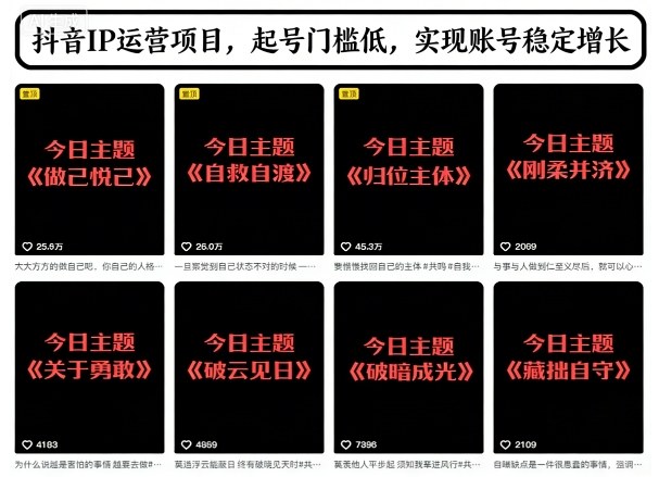 抖音IP运营项目，抖音今日主题玩法，起号门槛低，实现账号稳定增长-靠谱项目库