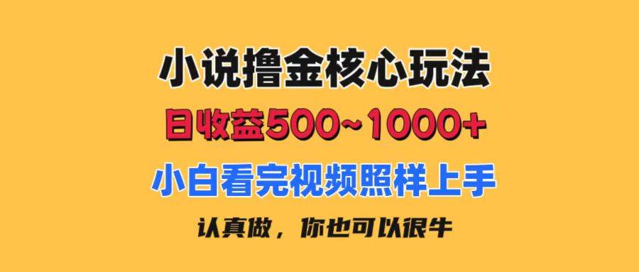 小说撸金核心玩法，日收益500-1000+，小白看完照样上手，0成本有手就行-靠谱项目库