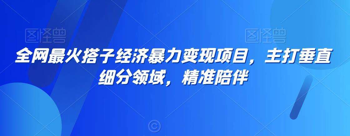 全网最火搭子经济暴力变现项目，主打垂直细分领域，精准陪伴【揭秘】-靠谱项目库