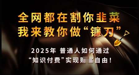 知识付费如何做到月入过W+，2025我来教你做“镰刀”【揭秘】-靠谱项目库