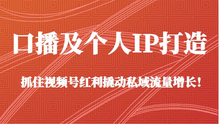 口播及个人IP打造，抓住视频号红利撬动私域流量增长！（45节课）-靠谱项目库