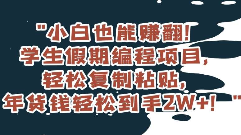 小白也能赚翻！学生假期编程项目，轻松复制粘贴，年货钱轻松到手2W+【揭秘】-靠谱项目库