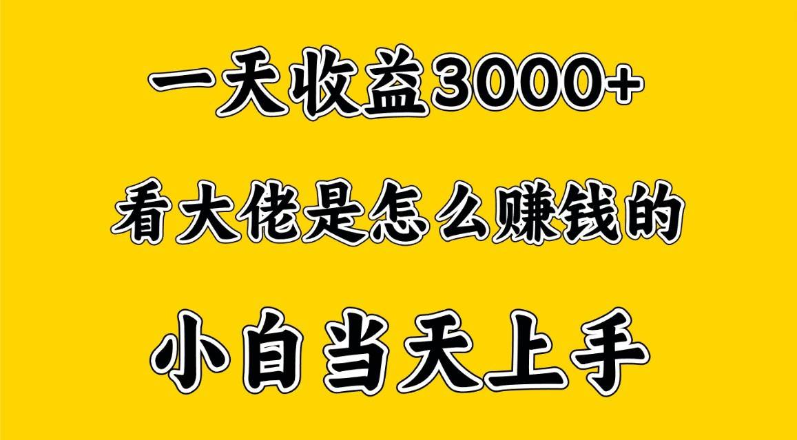 一天赚3000多，大佬是这样赚到钱的，小白当天上手，穷人翻身项目-靠谱项目库
