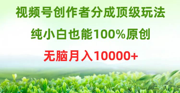 （9608期）视频号创作者分成顶级玩法，纯小白也能100%原创，无脑月入10000+-靠谱项目库
