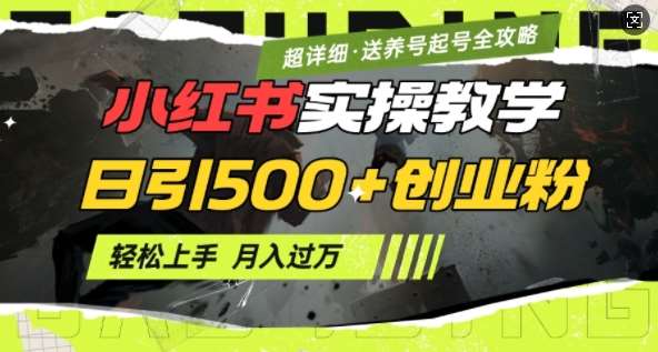 2月小红书最新日引500+创业粉实操教学【超详细】小白轻松上手，月入1W+，附小红书养号起号SOP-靠谱项目库