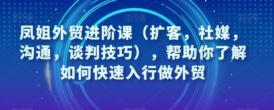凤姐外贸进阶课（扩客，社媒，沟通，谈判技巧），帮助你了解如何快速入行做外贸-靠谱项目库