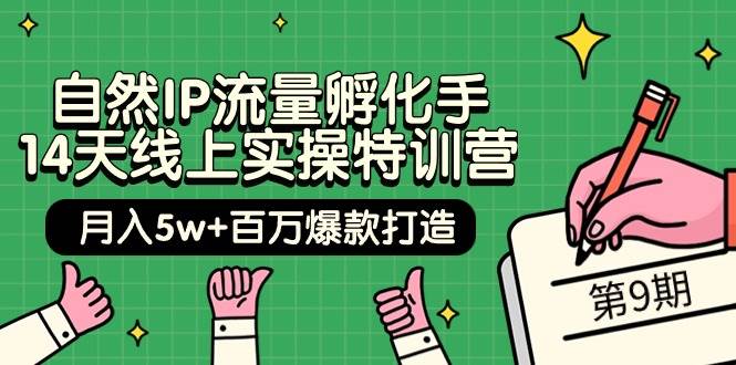 （9881期）自然IP流量孵化手 14天线上实操特训营【第9期】月入5w+百万爆款打造 (74节)-靠谱项目库