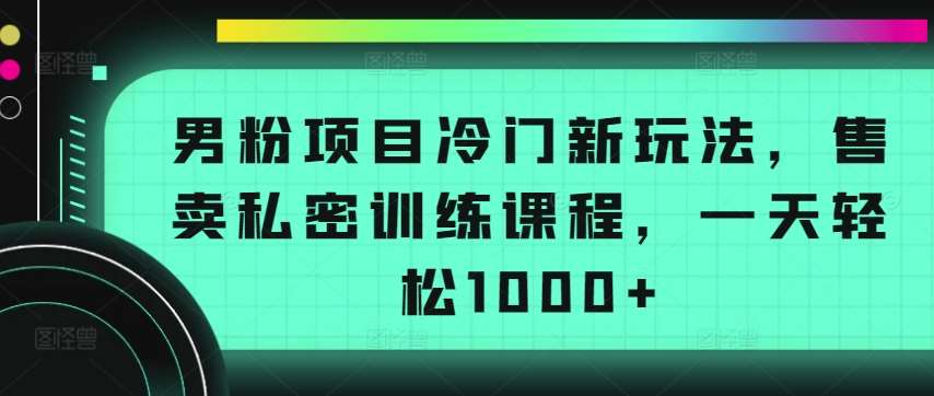男粉项目冷门新玩法,售卖私密训练课程,一天轻松1000+【揭秘】-靠谱项目库