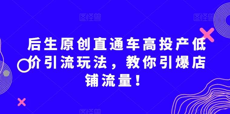 后生原创直通车高投产低价引流玩法,教你引爆店铺流量!-靠谱项目库