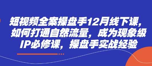 短视频全案操盘手12月线下课，如何打通自然流量，成为现象级IP必修课，操盘手实战经验-靠谱项目库