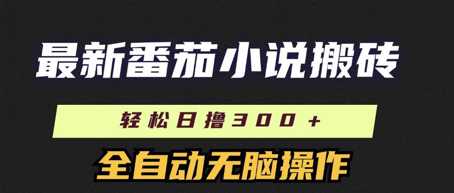 （11904期）最新番茄小说搬砖，日撸300＋！全自动操作，可矩阵放大-靠谱项目库