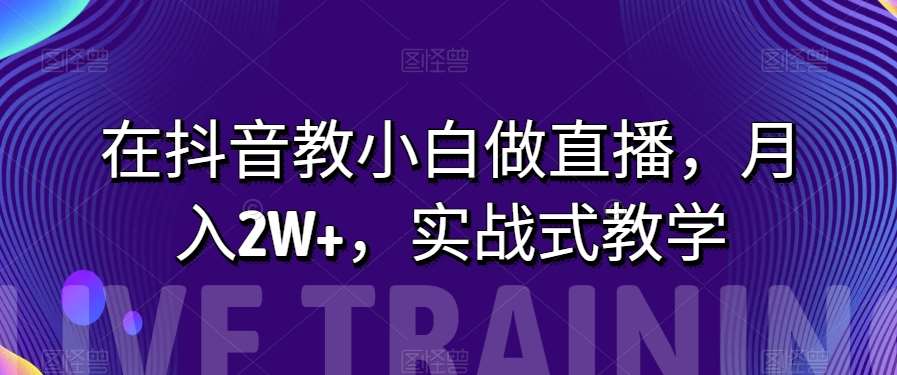 在抖音教小白做直播,月入2W+,实战式教学【揭秘】-靠谱项目库