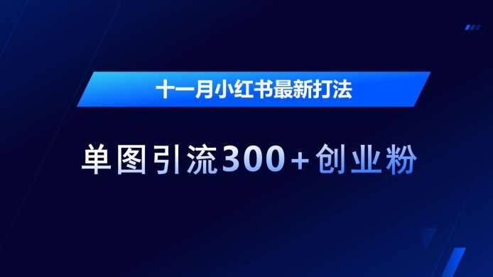 十一月小红书最新打法，单图引流300+创业粉【揭秘】-靠谱项目库