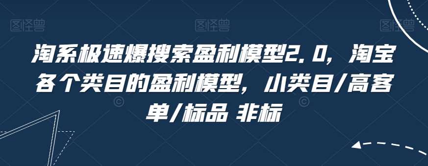 淘系极速爆搜索盈利模型2.0，淘宝各个类目的盈利模型，小类目/高客单/标品 非标-靠谱项目库
