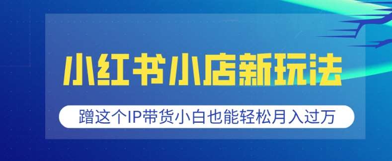 小红书小店新玩法，蹭这个IP带货，小白也能轻松月入过W【揭秘】-靠谱项目库