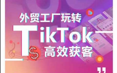 外贸工厂玩转TikTok高效获客，多种引流方式与账号定位技巧，拆解爆款短视频打造成功案例-靠谱项目库