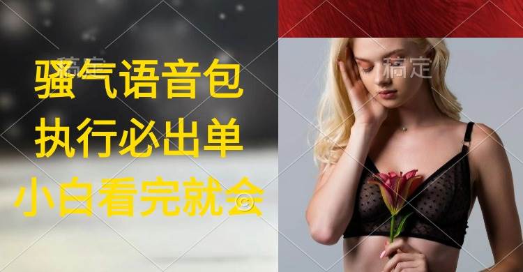 （9589期）执行就出单，日入2000+，超火骚气语音包，小白看完课程就能马上实操-靠谱项目库