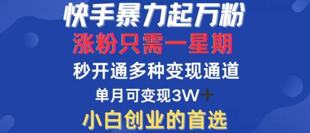 快手暴力起万粉，涨粉只需一星期，多种变现模式，直接秒开万合，单月变现过W【揭秘】-靠谱项目库