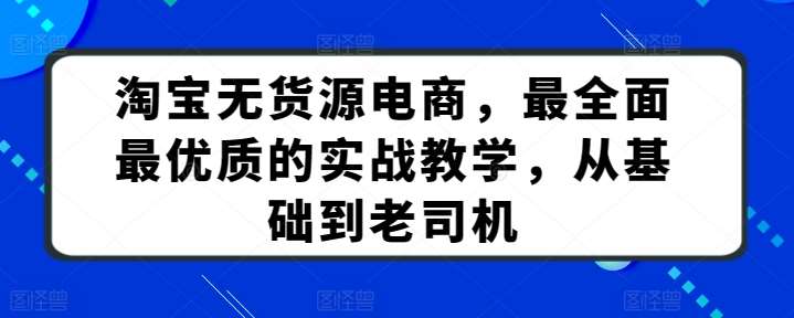 淘宝无货源电商，最全面最优质的实战教学，从基础到老司机-靠谱项目库