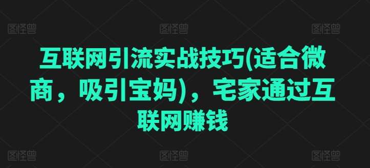 互联网引流实战技巧(适合微商，吸引宝妈)，宅家通过互联网赚钱-靠谱项目库