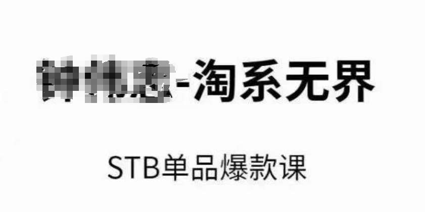淘系无界STB单品爆款课（2024），付费带动免费的核心逻辑，万相台无界关键词推广/精准人群的核心-靠谱项目库