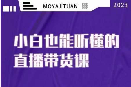 大威本威·能听懂的直播带货课，小白也能听懂，20节完整-靠谱项目库