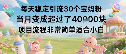 每天稳定引流30个宝妈粉当月变成超过了1W+项目流程非常简单适合小白-靠谱项目库