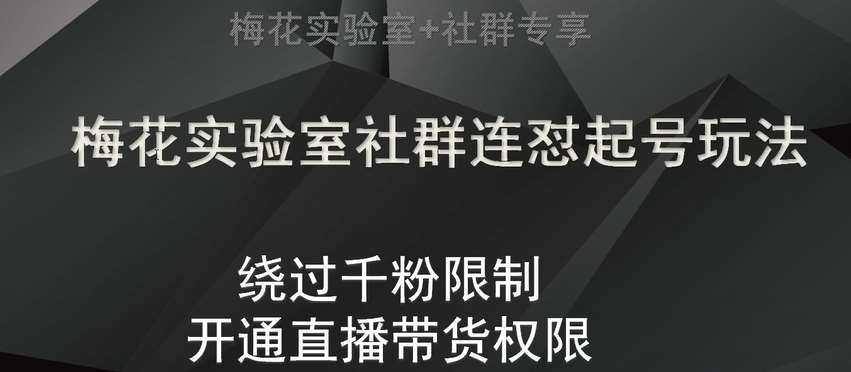 梅花实验室社群连怼起号玩法,视频号绕过千粉限制,开通直播带货权限【揭秘】-靠谱项目库