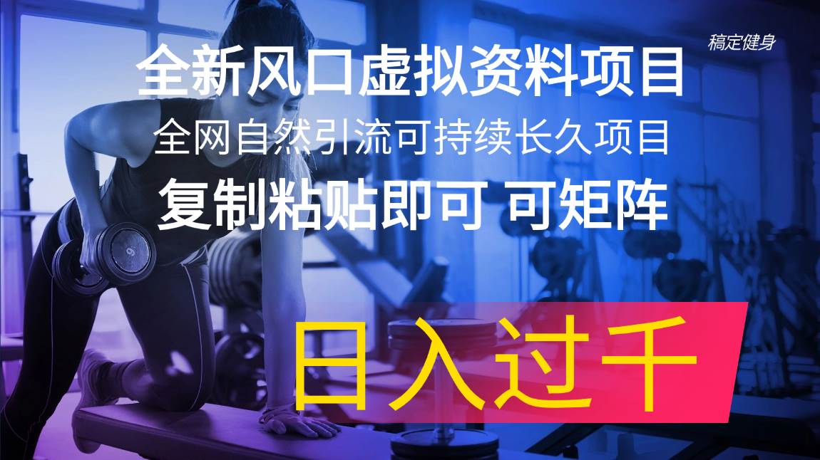 （11587期）全新风口虚拟资料项目 全网自然引流可持续长久项目 复制粘贴即可可矩阵…-靠谱项目库