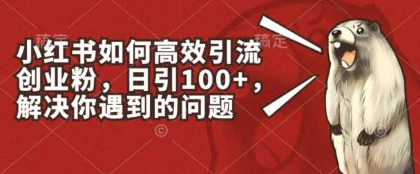 小红书如何高效引流创业粉,日引100+,解决你遇到的问题【揭秘】-靠谱项目库