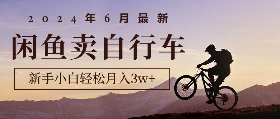 （10915期）2024年6月最新闲鱼卖自行车，新手小白轻松月入3w+项目-靠谱项目库