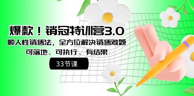 （8573期）爆款！销冠特训营3.0之顺人性销售法，全方位解决销售难题、可落地、可执…-靠谱项目库