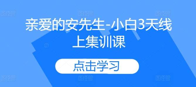 亲爱的安先生-小白3天线上集训课-靠谱项目库