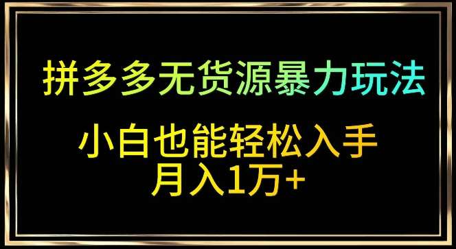 拼多多无货源暴力玩法，全程干货，小白也能轻松入手，月入1万+【揭秘】-靠谱项目库