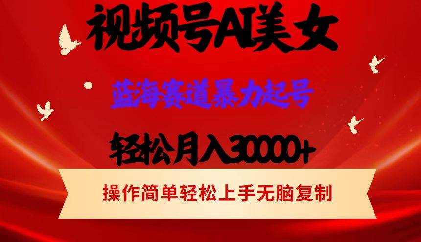 （12178期）视频号AI美女跳舞，轻松月入30000+，蓝海赛道，流量池巨大，起号猛，当...-靠谱项目库