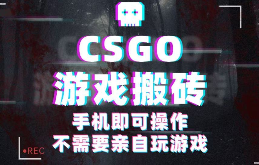 CSGO游戏挂机捡漏,单日扫货500+,年底小高峰上车可吃肉,手机即可操作兼职副业-靠谱项目库