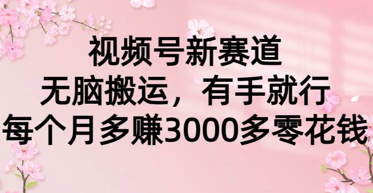(9278期)视频号新赛道,无脑搬运,有手就行,每个月多赚3000多零花钱-靠谱项目库