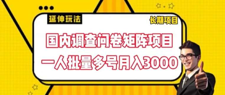 国内调查问卷矩阵项目，一人批量多号月入3000【揭秘】-靠谱项目库